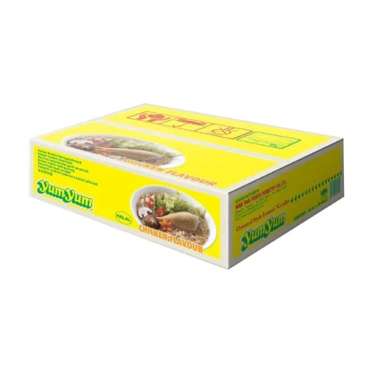 Plat cuisiné soupe nouille poulet