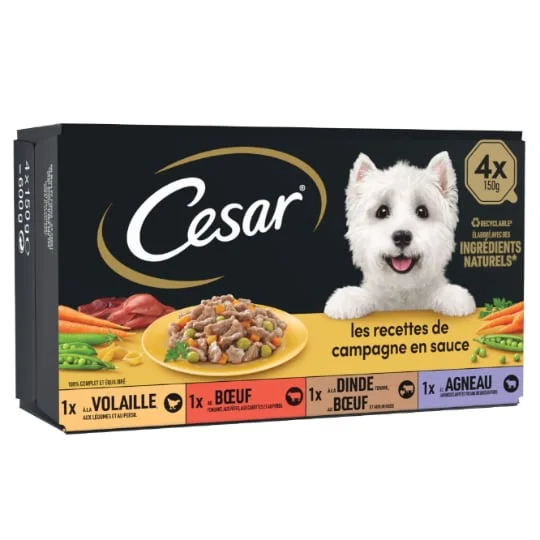 Pâtée pour chien mini filets en sauce