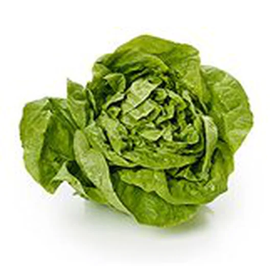 Salade - Laitue