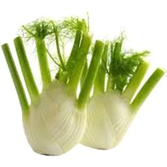 Fenouil