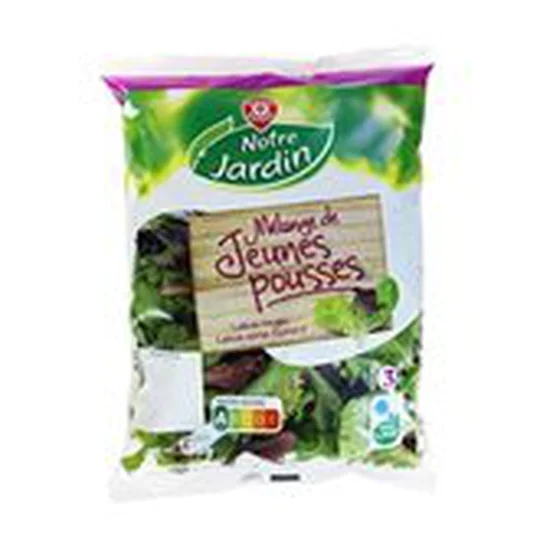Salade Jeunes pousses