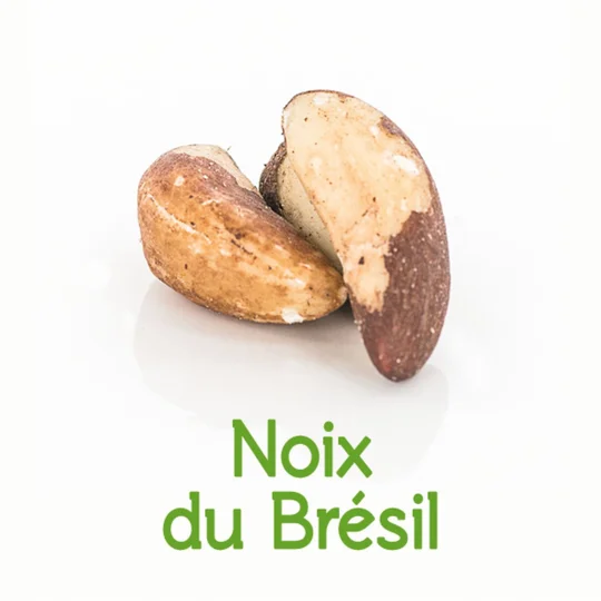 Noix du brésil BIO en vrac