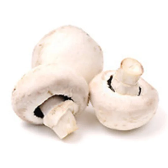 Champignon Gros Blanc