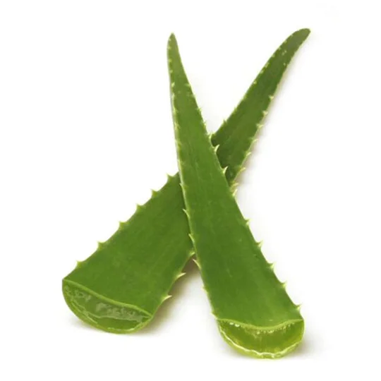 Feuille d'Aloe Vera Bio