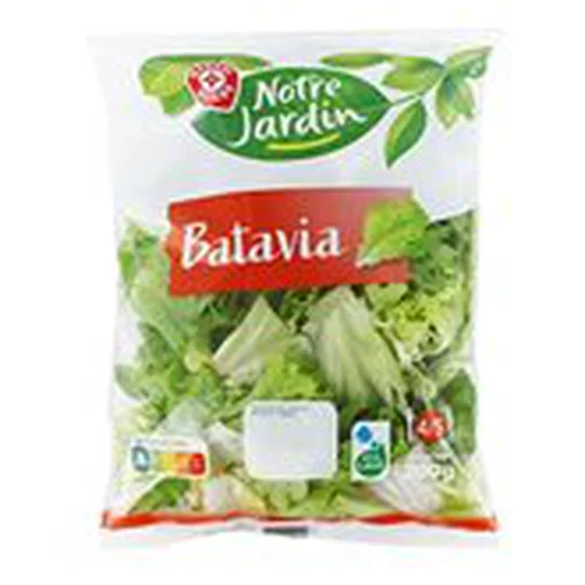 Batavia Notre Jardin