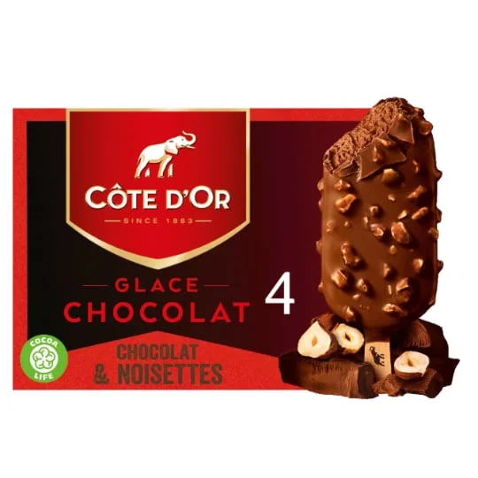 Glace chocolat lait noisette