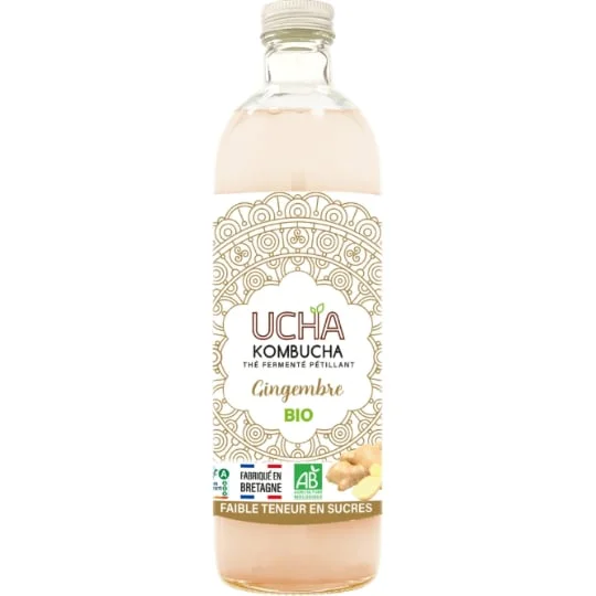 Kombucha Thé Fermenté Pétillant au Gingembre Bio