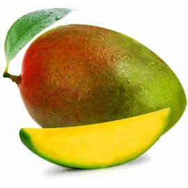 - Mangue Kent l'unité