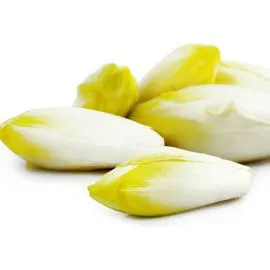 - Endives jeunes pousses 300g