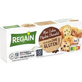 REGAIN Mini Cakes pépites chocolat sans gluten 230g