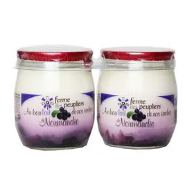 FERME DES PEUPLIERS Yaourt myrtille 250g