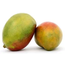 MONOPRIX Mangue Kent x2 x2