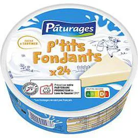 PÂTURAGES Fromages P'tits Fondants 24x16,67g