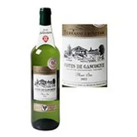 MARQUE REPÈRE, TERRASSES D'AUTAN Vin blanc Côtes de Gascogne IGP 75cl