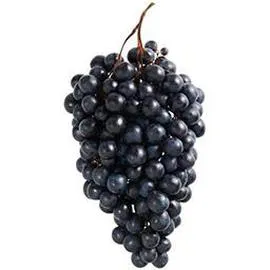 INTERMARCHÉ, LE CHOIX DU PRIMEUR Raisin noir 300g