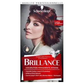 SCHWARZKOPF, BRILLANCE Brillance Coloration permanente intense 867 châtain foncé 1 kit l'unité