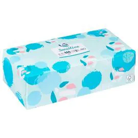 CARREFOUR SOFT Mouchoirs Lotion x80