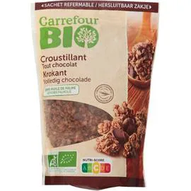 CARREFOUR BIO Céréales bio tout chocolat 375g