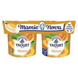MAMIE NOVA Yaourt gourmand abricot 2x150g
