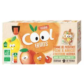 VITABIO Compote à boire pomme de France pêche abricot sans sucres ajoutés Bio 12x90g