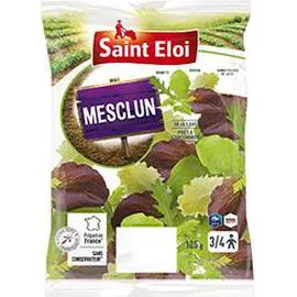 SAINT ELOI Mesclun prêt à consommer 125g