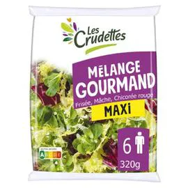 LES CRUDETTES Salade mélange Gourmand 320g