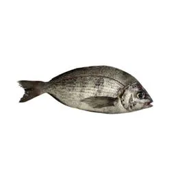  Daurade grise 350g