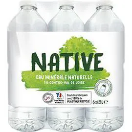 NATIVE Eau minérale naturelle du Centre-Val de Loire 6x1,5l