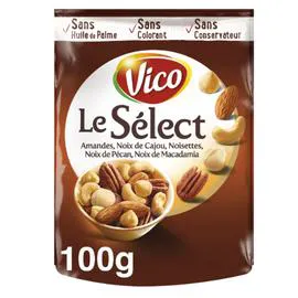 VICO Fruits secs mélange 100g