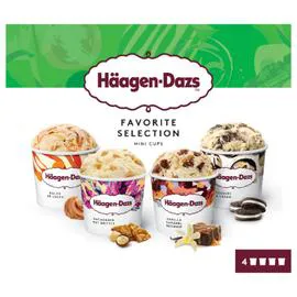 HÄAGEN-DAZS Glaces Favorite Selection 318g