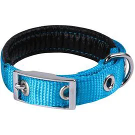 ANIMALIS Collier Basic Confort pour Chien 25mm - 65cm, Bleu l'unité