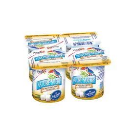 YOPLAIT Yaourt nature sucré 4x125g