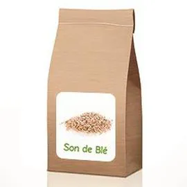 JUSTE BIO Son de blé BIO en vrac 100g