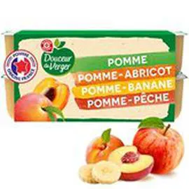 MARQUE REPÈRE, DOUCEUR DU VERGER Compote parfums variés 16x100g