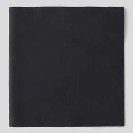 FRANÇOISE PAVIOT 20 serviettes, intissé noir, 40x40cm l'unité