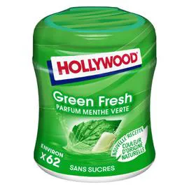 HOLLYWOOD Chewing-gum à la menthe verte sans sucres Green Fresh - x60 87g