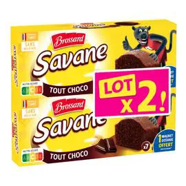 BROSSARD Gâteaux tout chocolat 420g