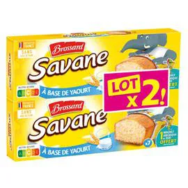 BROSSARD Gâteaux yaourt 420g