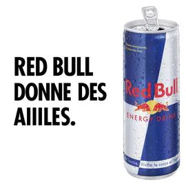 RED BULL Boisson Gazeuse Energisante Cold Can 250ml