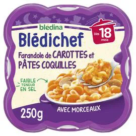 BLÉDINA, BLÉDICHEF Plat bébé dès 18 mois farandole de carottes et pâtes coquilles 250g