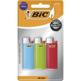 Mini briquets colorés (x3)