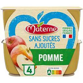 MATERNE SSA pomme Pomme 4x100g