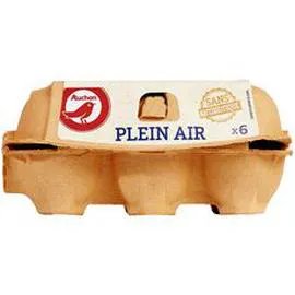 AUCHAN Oeufs de poules élévées en plein air sans antibiotique x6