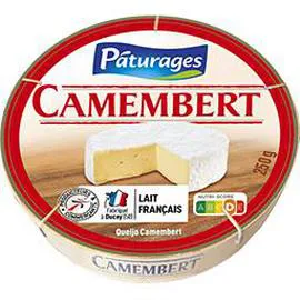 PÂTURAGES Camembert 250g