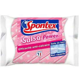 SPONTEX Eponge à récurer grattantes salle de bains x2