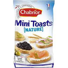 CHABRIOR Mini toasts nature 150g