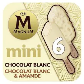 MAGNUM Glace chocolat blanc et chocolat blanc amande mini 256,8g