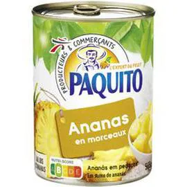 PAQUITO Ananas en morceaux au jus d'ananas 340g
