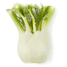NATOORA Fenouil Bulbe 1 tête 400g