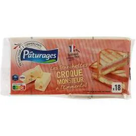 PÂTURAGES Fromage Les Tranchettes Croque-monsieur à l'emmental 340g